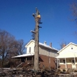 A Cut Above Tree Experts - photo 1