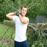 A Cut Above Tree Experts - photo 4