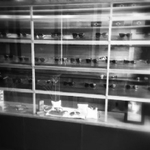 Z Optical - photo 1