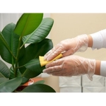 Grove City House Cleaning - photo 2