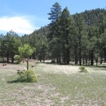 Harding & Associates - photo 2