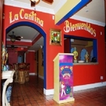 El Nuevo Mariachi - photo 1