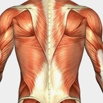 Mend - Human Repair Shop & Massage - photo 4