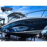 Custom Graphics - photo 1