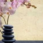 Pro Motion Physical Therapy - photo 1