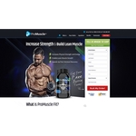 Biz Profits - photo 1