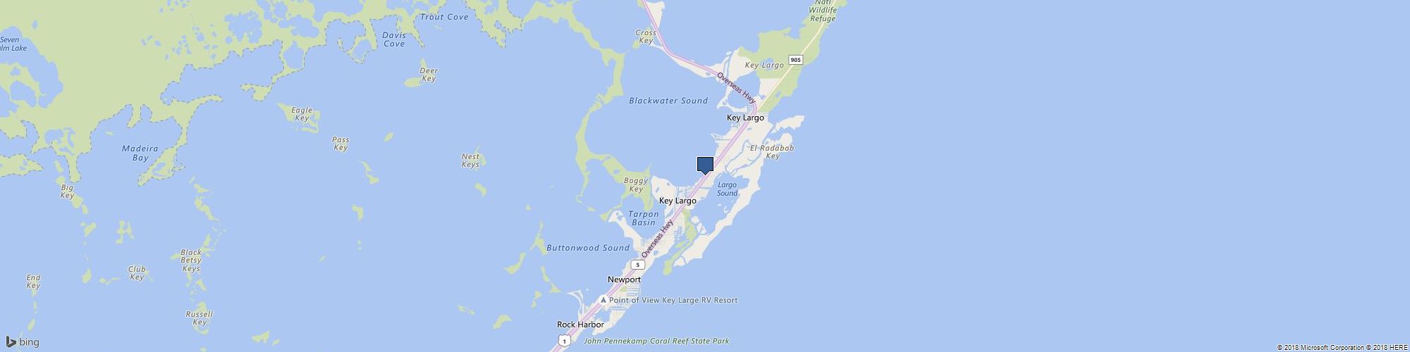 Tails Up Fishing Charters cover photo