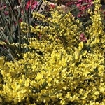 Plant World - photo 3