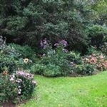 Airline Motor Inn - photo 1