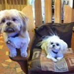 Parkview Lodge & Cabins - photo 1