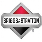 Mower & Engine - photo 1