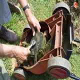 Mower & Engine - Other in Indianapolis