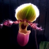 Cove - Other in San Francisco