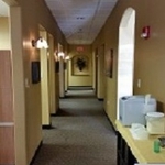 Timeless Dental - photo 1