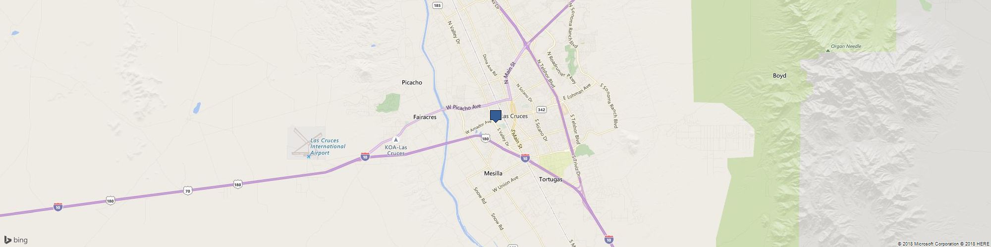 Alpha Nurses cover photo