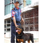 Chicago Security & Surveillance Experts - photo 4