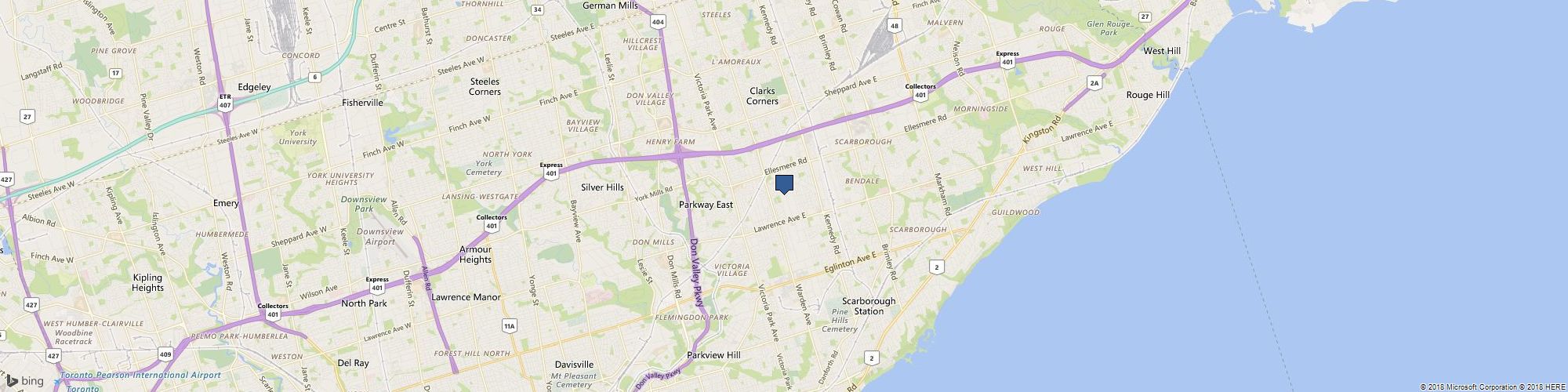 Northern Gecko : Specialty Pets & Pet Products cover photo