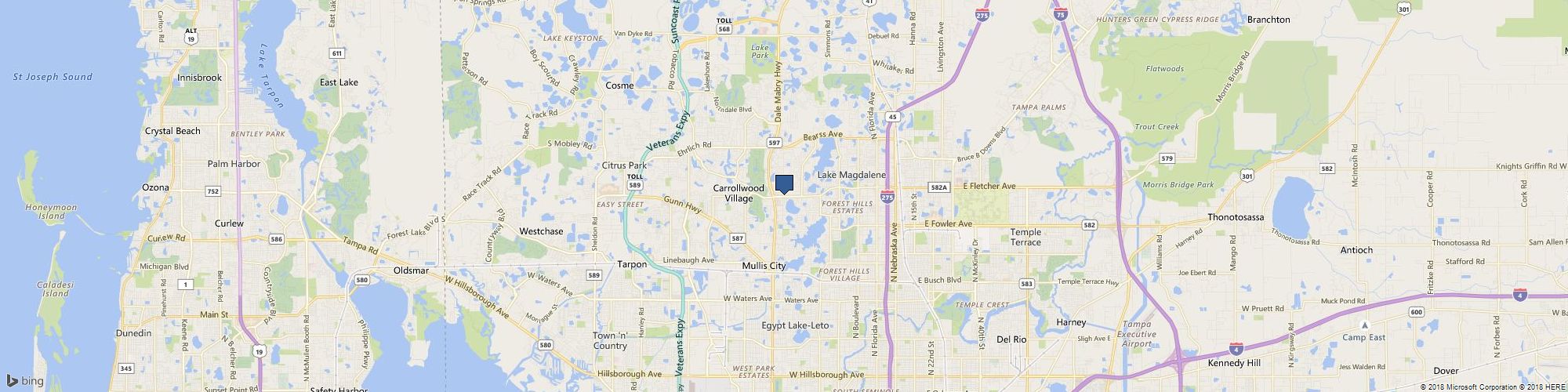 Carrollwood Chiropractic Center cover photo