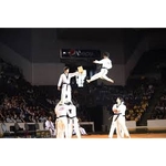 U.S. Taekwondo Center - Citadel - photo 3