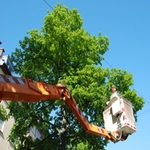 Whispering Tree Service - photo 1