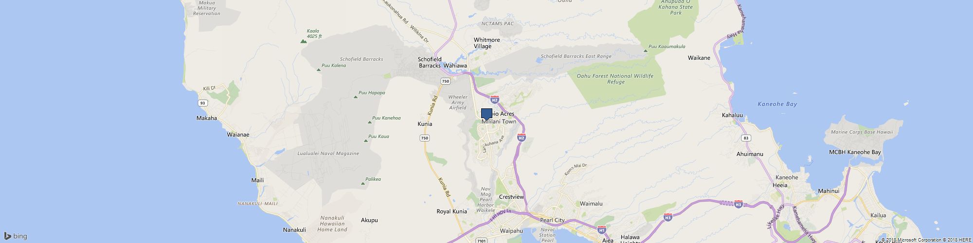 The Pet Hale cover photo