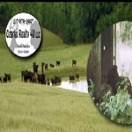 Ozarks Realty 4U, LLC - photo 3