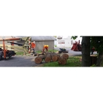 Cutting Edge Tree Professionals - photo 4