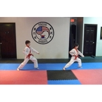 Focus Karate - photo 1