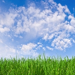 Pure Country Clean LLC - photo 2