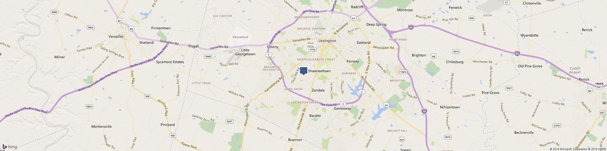 The White Dress of Lexington cover photo