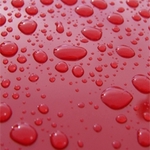 Wax On Wheels - photo 3