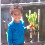 Lil Critters 24hr Family Day Care - photo 2