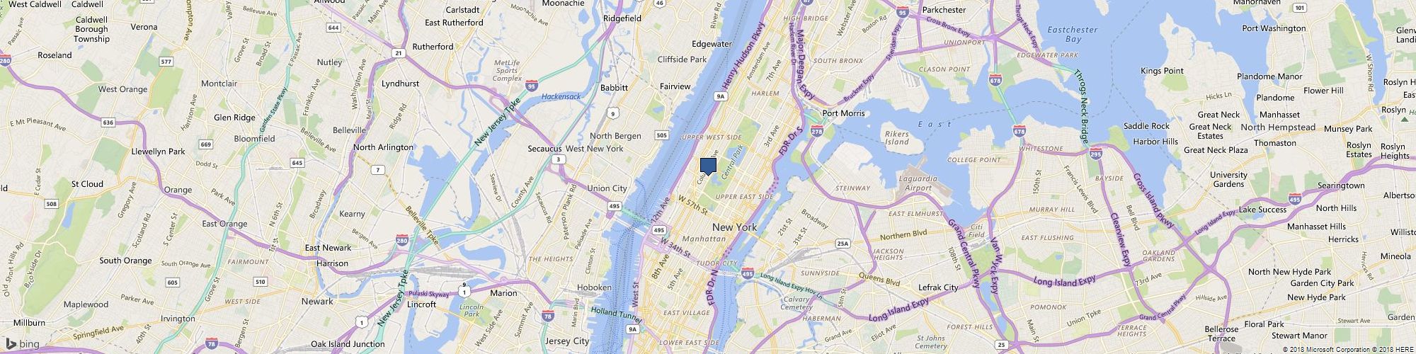 My Dog Jogs cover photo