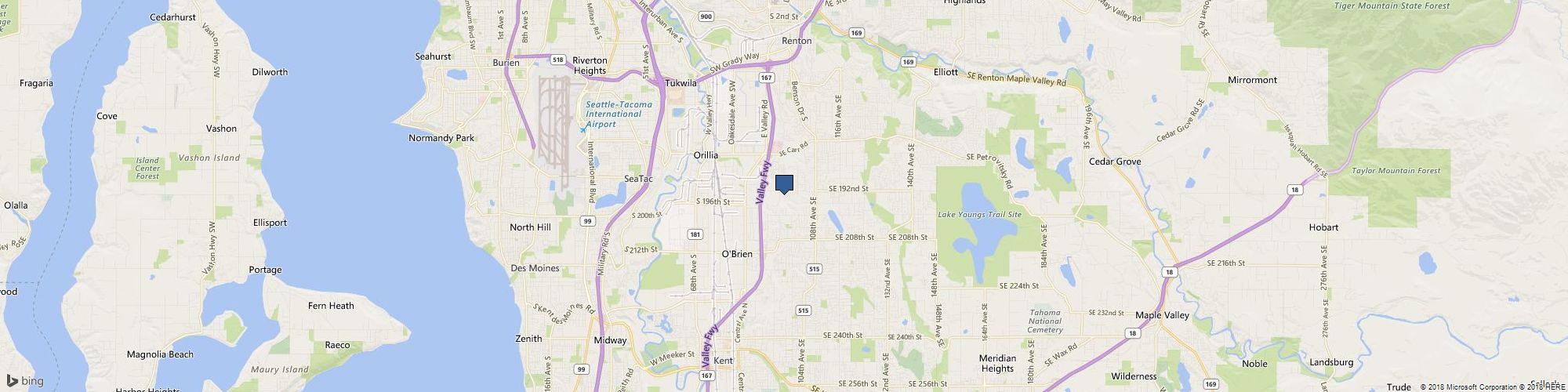 Seattle Town Car Best Ride cover photo