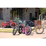 The Matheson Team - photo 8