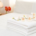 Knights Inn Cleveland - photo 3