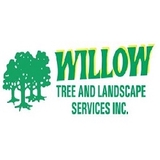 Willow Tree & Landscaping Services