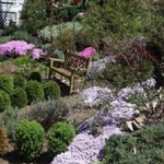 Abbington Green Bed & Breakfast Inn - photo 3