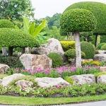 Hook's Greenhouse & Farm Market - photo 3