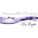Impeccable Cleaning The Hyde - photo 1