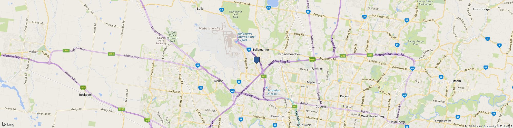 THE DAISY COLLECTIVE cover photo