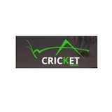 Cricket Pavers - Other in Boca Raton