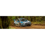 Edmonton Subaru Guy - photo 3