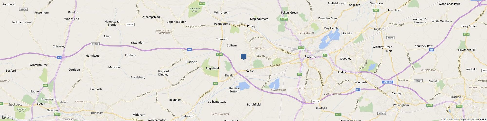 West Palm Beach 24/7 Wildlife Control cover photo