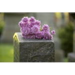 Christopher Ligori & Associates - photo 3