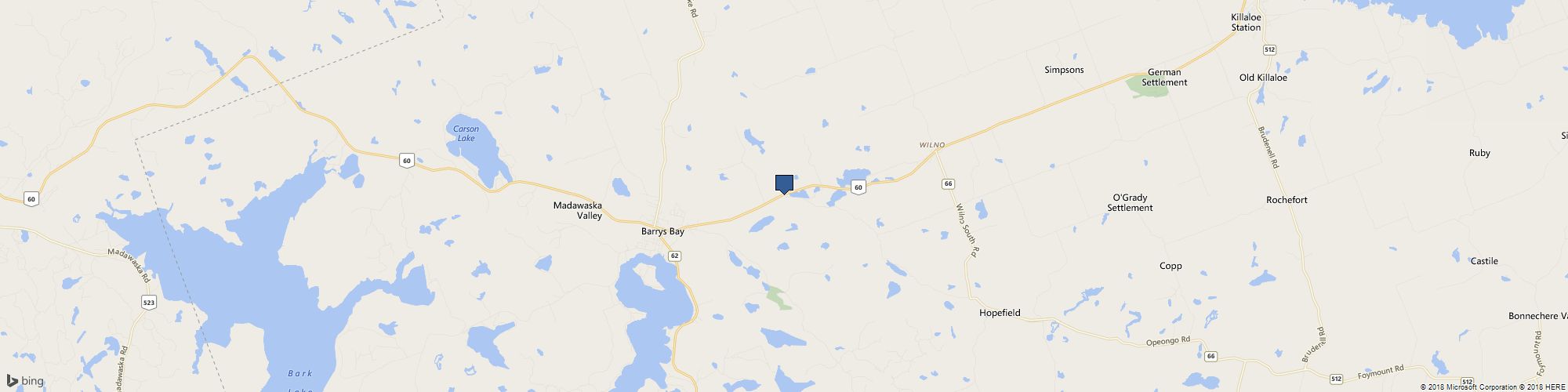 Black Iris Florist cover photo