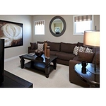 Alameda Rug Cleaning - photo 3