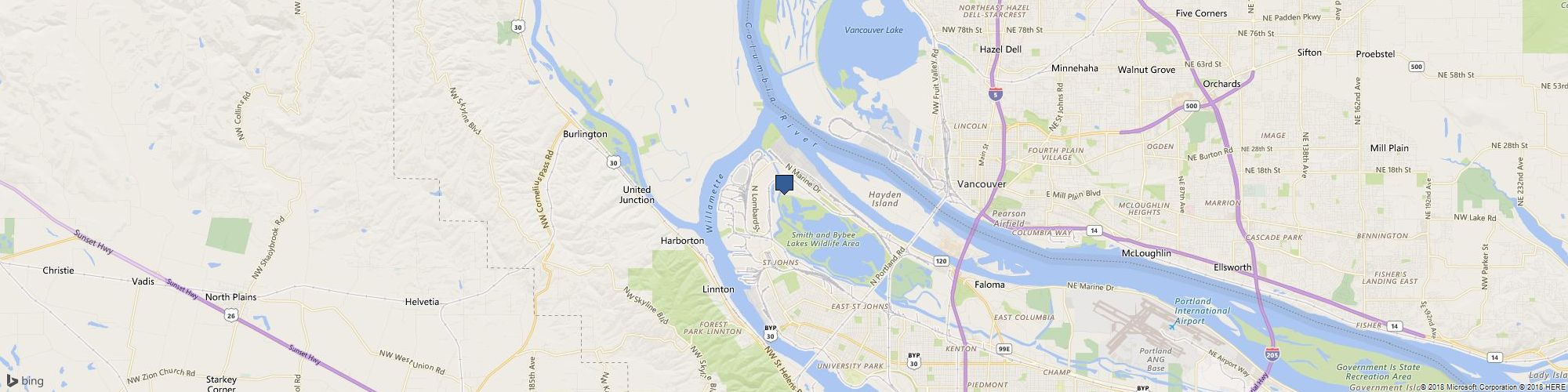 Dragon Ninja Rush cover photo