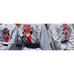 First Taekwondo - photo 2