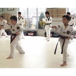 Northwest Indiana Martial Arts Academy - photo 2